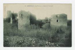 HERBIGNAC - Les Ruines Du Château De Ranrouet - Herbignac