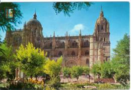 SALAMANCA - Cathédrale - Catedral - Salamanca