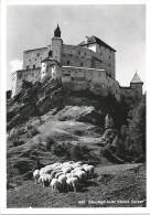 Schloss Tarasp - Schafherde             Ca. 1950 - Tarasp