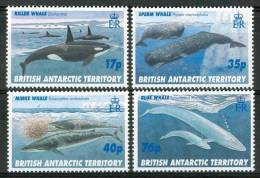 1996 British Territoro Antartico Vita Marina Marine Life Pesci Fish Fische Poissons Set MNH** Po128 - Other & Unclassified