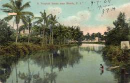 Scene Near Manila 1905 PI Postcard Used - Philippinen