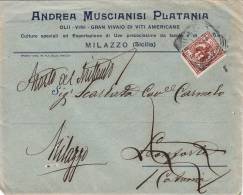 MILAZZO / CATANIA  17.2.1913 - Cover_ Lettera Pubbl. Con Listino " Andrea MUSCIANISI PLATANI - Olii_Vini -" - Cent. 2 - Reclame