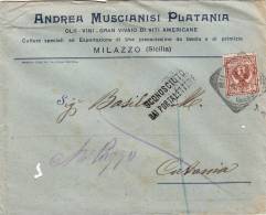 MILAZZO / CATANIA  18.2.1913 - Cover_ Lettera Pubbl. " Andrea MUSCIANISI PLATANI - Olii_Vini -" - Cent. 2 - Publicité