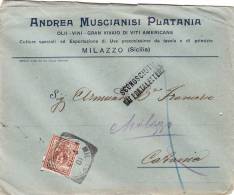 MILAZZO / CATANIA  10.2.1913 - Cover_ Lettera Pubbl. " Andrea MUSCIANISI PLATANI - Olii_Vini -" - Cent. 2 - Reklame