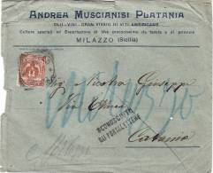 MILAZZO / CATANIA  1913 - Cover_ Lettera Pubbl. " Andrea MUSCIANISI PLATANI - Olii_Vini -" - Cent. 2 - Publicité