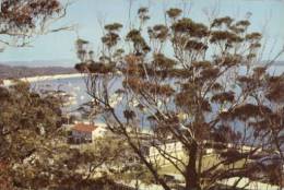 (570) Australia - NSW- Port Stephens Shoal Bay - Sonstige & Ohne Zuordnung