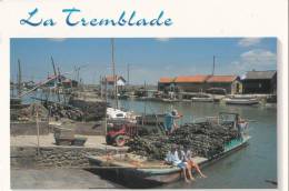 BR24313 La Tremblade Centre Ostreicole Important    2 Scans - La Tremblade