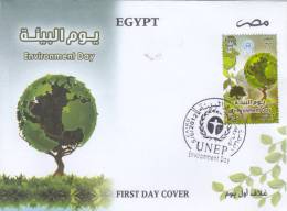 FDC`S EGYPT 2012 UNEP WORLD ENVIROMENT DAY LOOK - Lettres & Documents