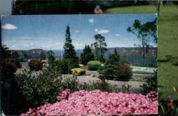 (876) Australia - NSW - Blue Mountains Echo Point Gardens - Autres & Non Classés