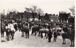 LANDIVISIAU LE CHAMP DE FOIRE  UN JOUR DE FOIRE - Landivisiau