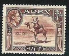 ADEN Dromadaire, Guerrier, Chameau (Yvert 17+26) Neuf Avec Charniere * MH (2 Scans) - Aden (1854-1963)