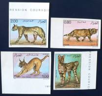 ALGERIE CHATS, Chat, Cats, Gato, Yvert: 858/61SERIE NON DENTELEE  ** MNH. IMPERFORATE - Hauskatzen