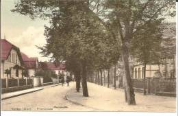 NS032 / Verden An Der Aller. Reiter Auf Der Promenade, Ungebraucht - Verden