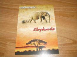 Elefant Elephant Elefant Postkarte Postcard - Olifanten