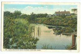 USA, Cape Cod Scene Near Hyannis, Cape Cod, Mass, 1910s-1920s Unused Postcard [11528] - Cape Cod