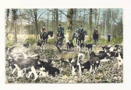 Cp, Chasse, Chasse à Cour - Chasse En Forêt, L´Hallali, écrite 1962 - Jagd