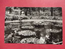 Real Photo By Cook    Holland   Mi--     Centennial Park EKC Box  =ref 665 - Other & Unclassified