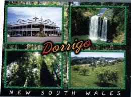 (536) Australia - NSW - Dorrigo - Andere & Zonder Classificatie