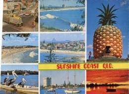 (536) Australia - QLD - Sunshine Coast - Big Pinneaple - Cane Train Etc - Autres & Non Classés