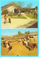 Postcard - Tucson, Arizona      (V 14829) - Tucson