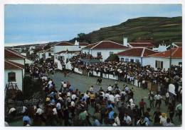 TERCEIRA - Tourada à Corda - Açores