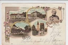 2903 RASTEDE, Lithografie 5-teilig, Schloß, Rasteder Hof.. - Rastede