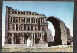 31435   Iraq,  Ctesiphon,  NV - Iraq