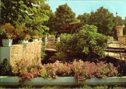 Carte Postale L ' ISLE SUR SORGUE Un Coin Du Jardin Et Ses Roues à Aubes - L'Isle Sur Sorgue