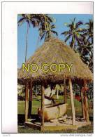 FIJIAN  LALI  -  Beating Of Lali´s Once Used For The Calling Of Warriors To Battle, Now Tells The Time Of Day And Calls - Figi