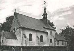 Lummen :  Kapel OLV Van De Beukeboom   -  GROOT FORMAAT - Lummen