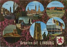 Groeten Uit   Limburg  -  GROOT FORMAAT - Andere & Zonder Classificatie