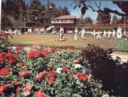 (133) Sport - Lawn Bowl - Queenstown New Zealand - Bowling