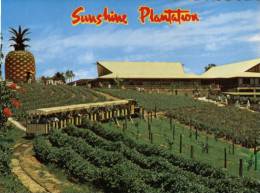 (322) Australia - QLD - Sunshine Plantation Big Pinneaple - Andere & Zonder Classificatie