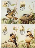 Portugal Acores 1990 WWF W.W.F. Birds Maximum Cards, Set X4 Fauna Bird Sao Miguel Bullfinch - Maximumkarten