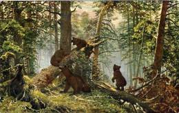 Ours Dans La Forêt - Osos