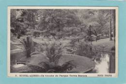S. MIGUEL - ACORES  -  Um  Trecho  Do  Parque  Terra  Nostra  -  1952  -  ( Timbres Enlevés ) - Açores