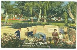 USA, Fountain Of Youth, St. Petersburg, Florida, Unused Linen Postcard [11612] - St Petersburg