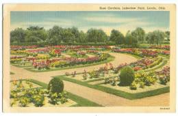 USA, Rose Gardens, Lakeview Park, Lorain, Ohio,   Unused Linen Postcard [11616] - Sonstige & Ohne Zuordnung