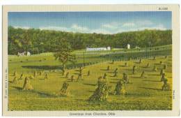 USA, Greetings From Chardon, Ohio, Date Marked, Unused Linen Postcard [11624] - Autres & Non Classés