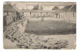 YVELINES  /  MAULE  /  FERME  DU  BOIS  HENRY , MOUTONS  PARTANT  AU  PÂTURAGE  /  RARE Cachet  "TRESOR & POSTES N° 78" - Maule