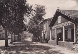 OPPEDE LES POULIVETS " Avenue Des Ecoles " - Pertuis