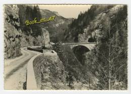 {45316} 38 Isère Vercors , Le Pont De La Goule Noire - Vercors