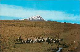 CPSM Equateur-Mont Carlhualrazo   L1105 - Ecuador