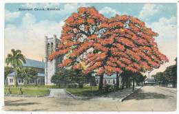 Episcopal Church, Honolulu - Honolulu