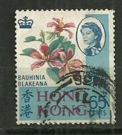 Hong Kong Oblitéré/canceled :Y & T ; N° 236 - Used Stamps