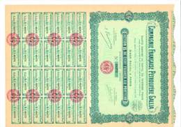 Compagnie Francaise Petrolifere GALLIA - Action De 100 Francs 21 Juillet 1926 - Petróleo