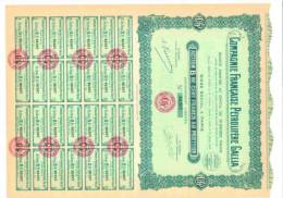 Compagnie Francaise Petrolifere GALLIA - Action De 100 Francs 21 Juillet 1926 - Erdöl