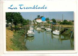 La Tremblade, Centre Ostréicole - La Tremblade