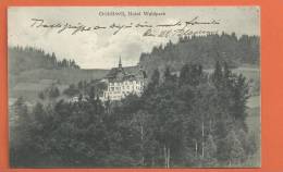 Q0624 Goldiwil Hotel Waldpark.Cachet Thun 1910. - Wald