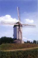 HARELBEKE (W.Vl.) - Molen/moulin/mill - Fraaie Opname Van De Nog Bestaande Koutermolen Op Zijn Nieuwe Locatie - Harelbeke